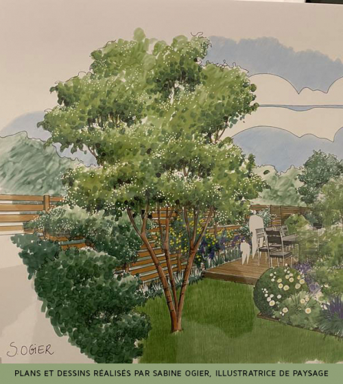 1-amenagement-creation-jardin-plans-paysagiste-2