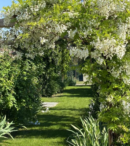 2-amenagement-creation-plantation-jardins-exception-95-1