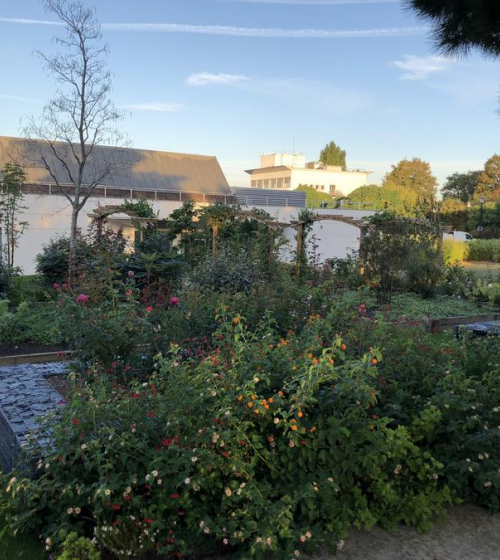 creation-plantation-jardins-exception-95-3