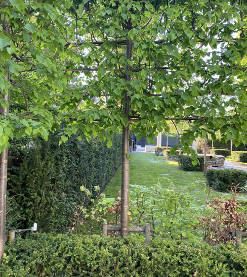 creation-plantation-jardins-exception-95-5