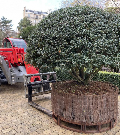 creation-plantation-jardins-exception-95-6
