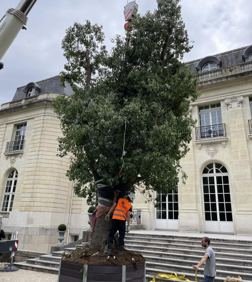 creation-plantation-jardins-exception-95-7