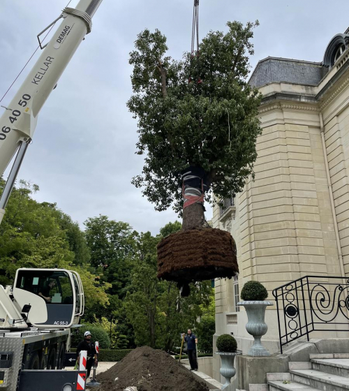 creation-plantation-jardins-exception-95-8