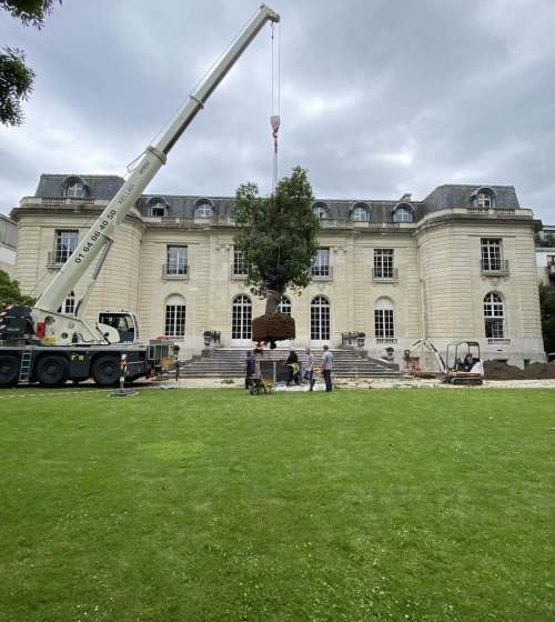 creation-plantation-jardins-exception-95-9
