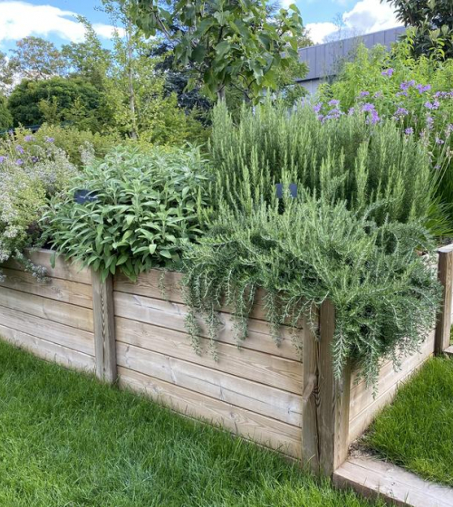 realisation-jardin-potager-val-d-oise-95-paysagiste-jardinier-2