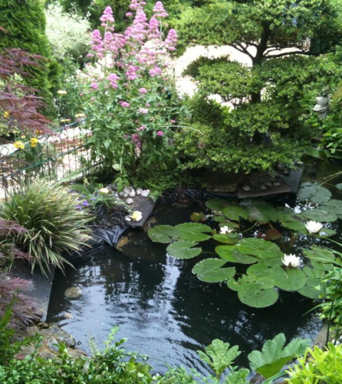 creation-installation-bassin-exterieur-piscine-val-d-oise-95-4