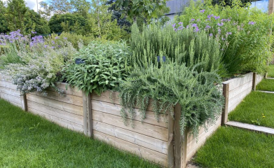 realisation-jardin-potager-val-d-oise-95-paysagiste-jardinier-2