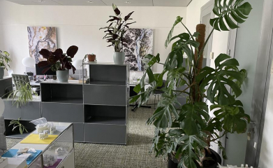 plantes-interieur-paysagiste-interieur-val-d-oise-95-8