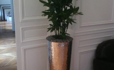 plantes-interieur-paysagiste-interieur-val-d-oise-95-91