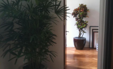 plantes-interieur-paysagiste-interieur-val-d-oise-95-95