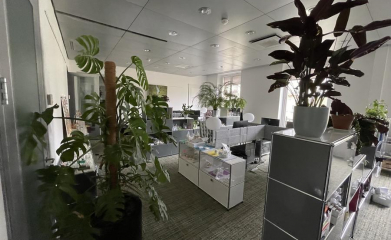 plantes-interieur-paysagiste-interieur-val-d-oise-95-96