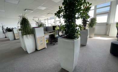 installation-plantes-interieur-en-entreprise-95-3