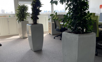 installation-plantes-interieur-en-entreprise-95-4