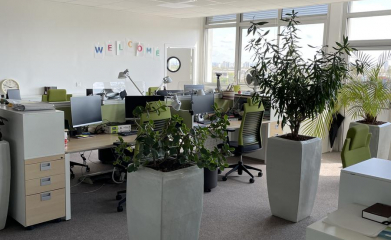 installation-plantes-interieur-en-entreprise-95-5