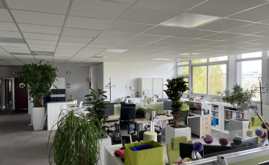 installation-plantes-interieur-en-entreprise-95-8