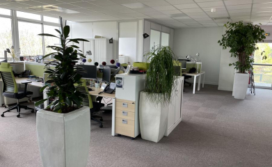 installation-plantes-interieur-en-entreprise-95-9