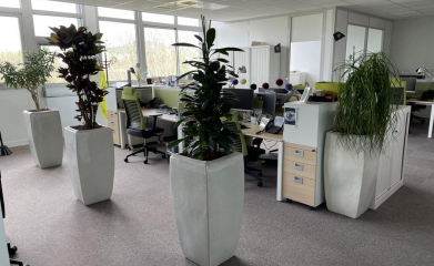 installation-plantes-interieur-en-entreprise-95-91