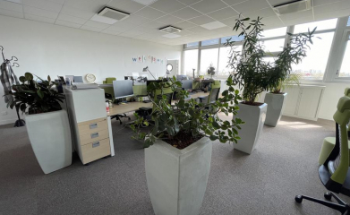 installation-plantes-interieur-en-entreprise-95