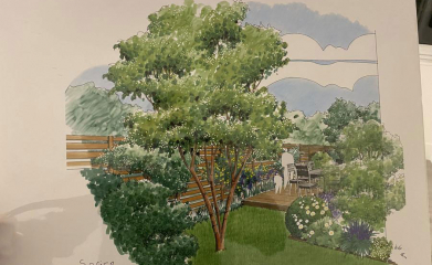 amenagement-creation-jardin-plans-paysagiste-2
