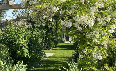 creation-plantation-jardins-exception-95-1