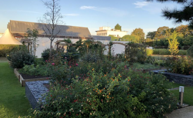 creation-plantation-jardins-exception-95-3