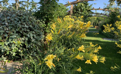 creation-plantation-jardins-exception-95-4
