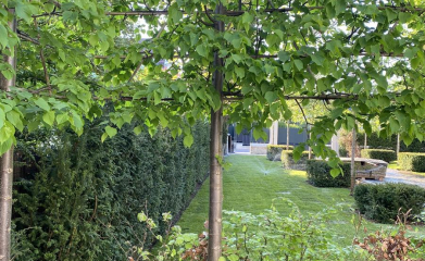 creation-plantation-jardins-exception-95-5