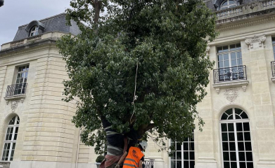 creation-plantation-jardins-exception-95-7