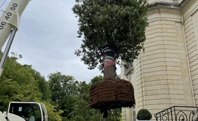 creation-plantation-jardins-exception-95-8