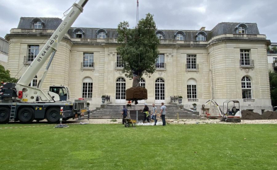 creation-plantation-jardins-exception-95-9