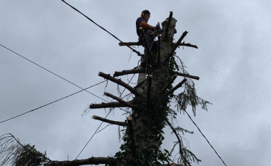 abatage-elagage-arbres-val-d-oise-95-entreprise-elagage-abatage-3