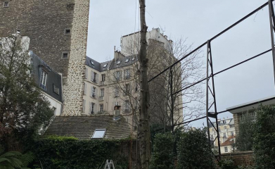 abatage-elagage-arbres-val-d-oise-95-entreprise-elagage-abatage-8