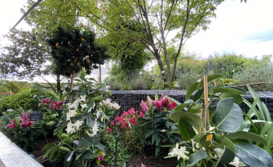 creation-de-massif-plantation-fleurissement-95-19