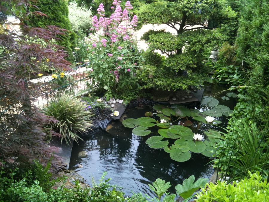 Création de bassin dans le Val d'Oise (95) - Art des Jardins-Zory