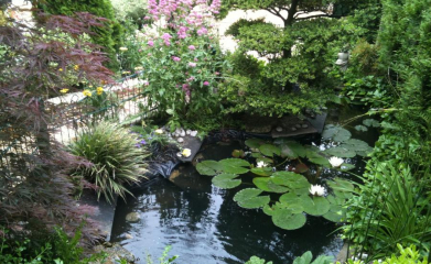 creation-installation-bassin-exterieur-piscine-val-d-oise-95-4